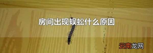 房间出现蜈蚣什么原因