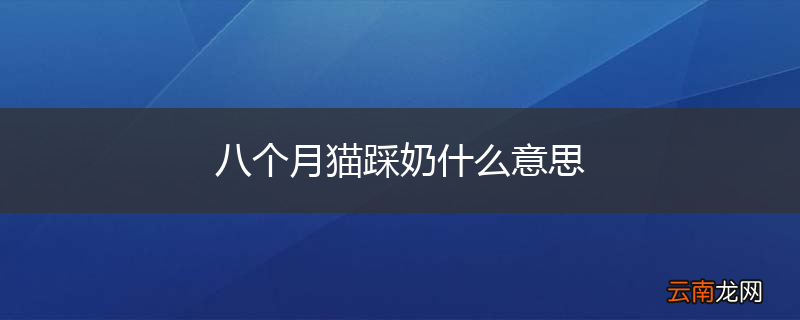 八个月猫踩奶什么意思