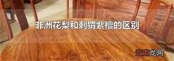 非洲花梨和刺猬紫檀的区别