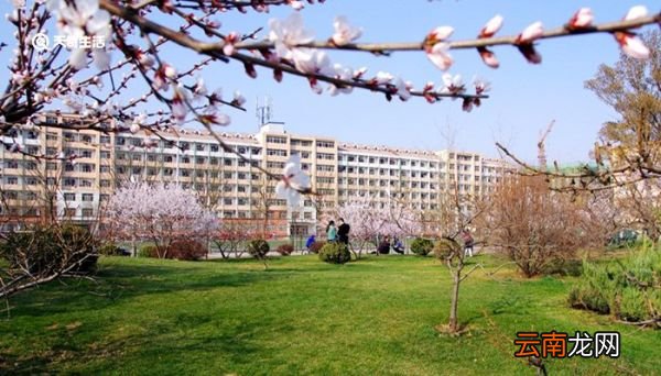 中北大学是几本 中北大学是几本大学