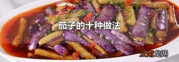 茄子的十种做法