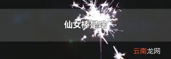 仙女棒是啥