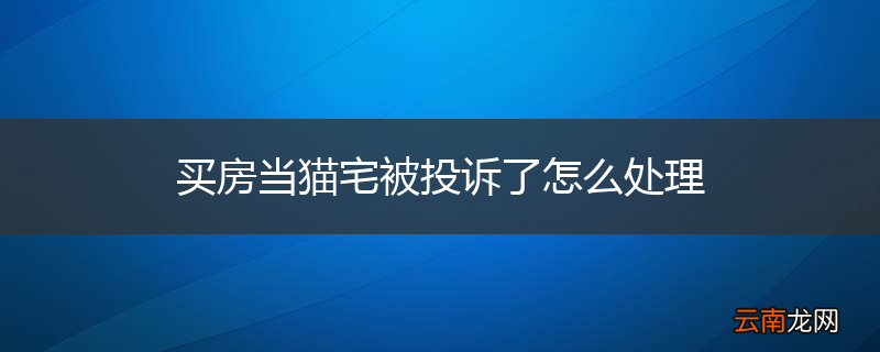 买房当猫宅被投诉了怎么处理