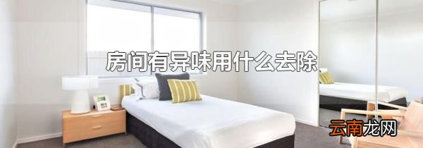 房间有异味用什么去除