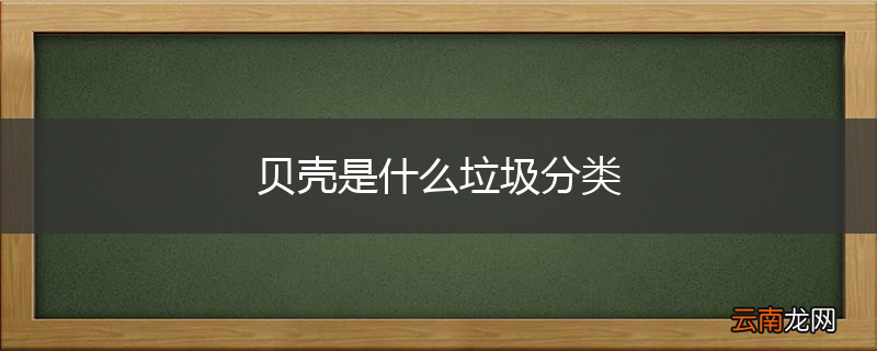 贝壳是什么垃圾分类
