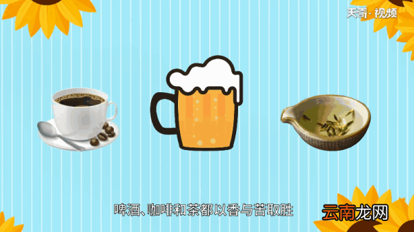 啤酒为什么会冒泡 啤酒为何会冒泡