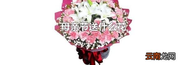 母亲节送什么花