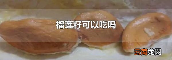 榴莲籽可以吃吗
