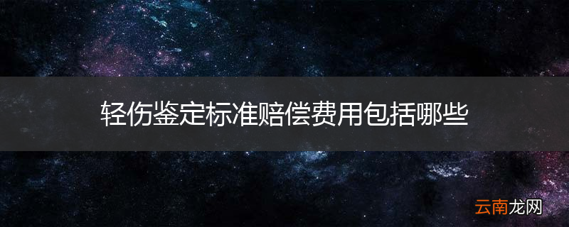 轻伤鉴定标准赔偿费用包括哪些