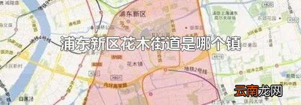 浦东新区花木街道是哪个镇