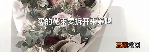买的花束要拆开来养吗