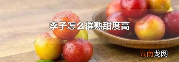 李子怎么催熟甜度高