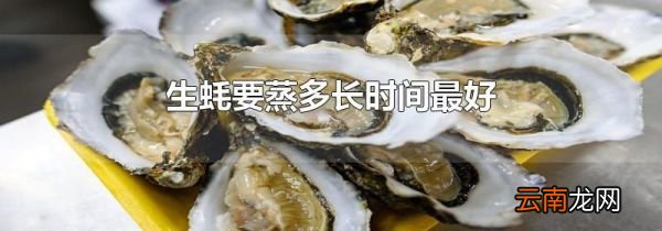 生蚝要蒸多长时间最好