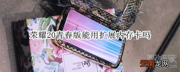 荣耀20青春版能用扩展内存卡吗