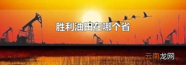 胜利油田在哪个省