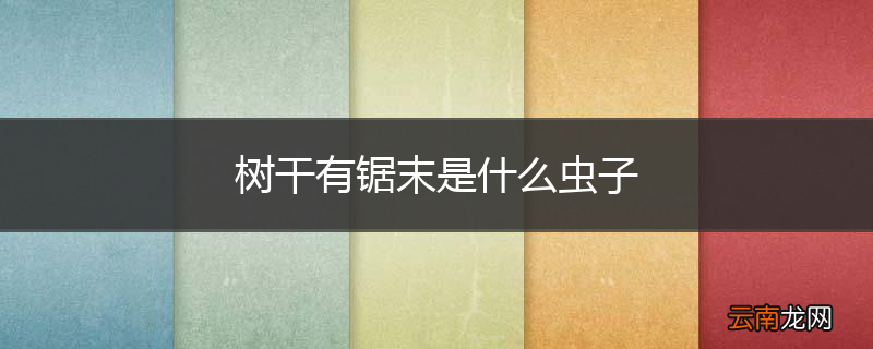 树干有锯末是什么虫子