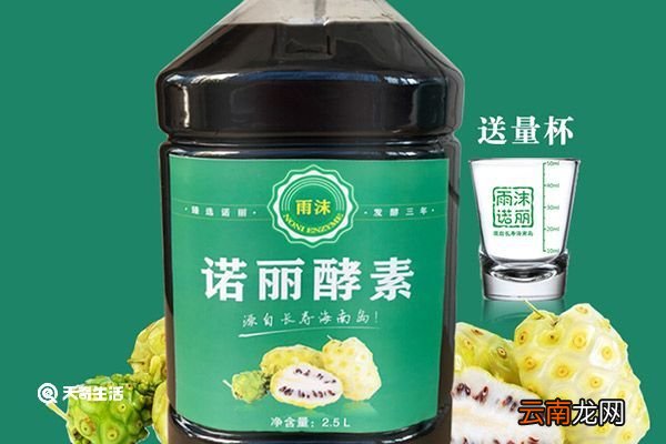诺丽酵素的功效与作用 诺丽酵素的功效与作用是什么