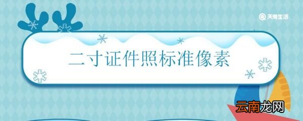二寸证件照标准像素 二寸照的像素是多少