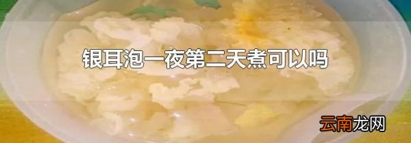 银耳泡一夜第二天煮可以吗