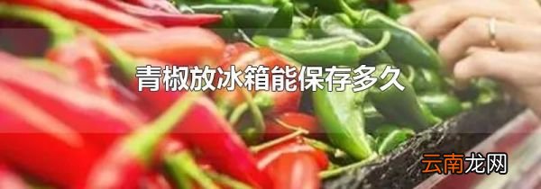 青椒放冰箱能保存多久