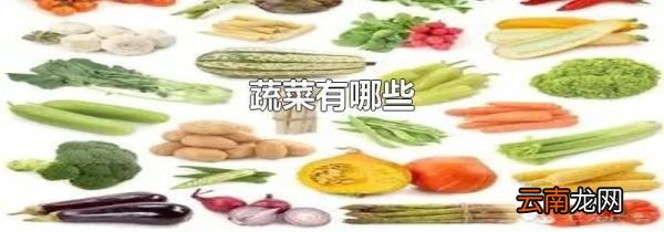 蔬菜有哪些