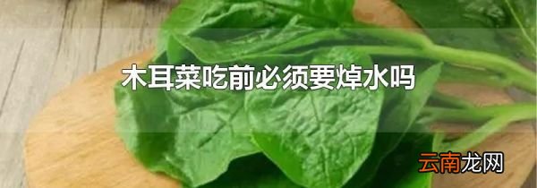 木耳菜吃前必须要焯水吗