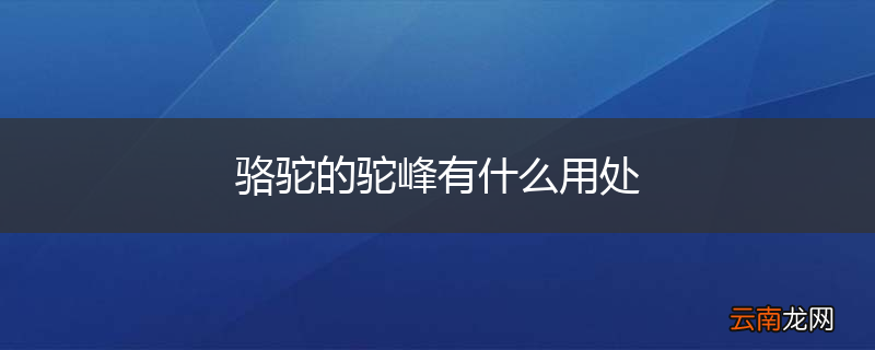骆驼的驼峰有什么用处