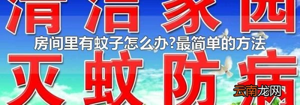 房间里有蚊子怎么办?最简单的方法