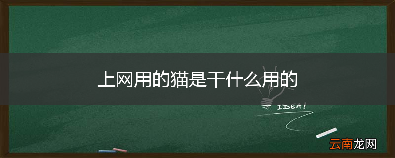 上网用的猫是干什么用的