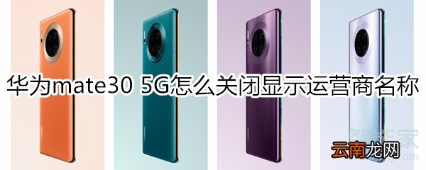 华为mate30 5G版怎么关闭运营商名称显示
