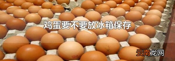 鸡蛋要不要放冰箱保存
