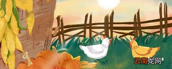 乌鸦和母鸡告诉我们什么道理 乌鸦和母鸡的故事主要讲了什么