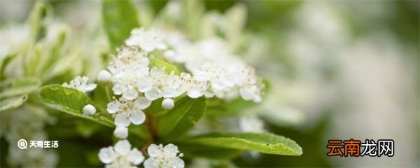 形容4月份的美好句子 形容4月份的句子