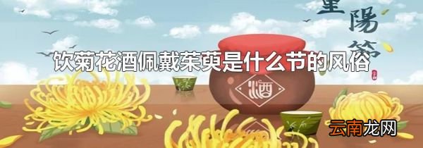 饮菊花酒佩戴茱萸是什么节的风俗