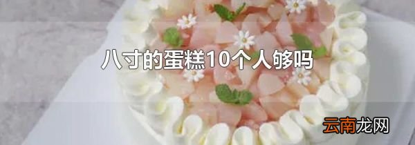 八寸的蛋糕10个人够吗