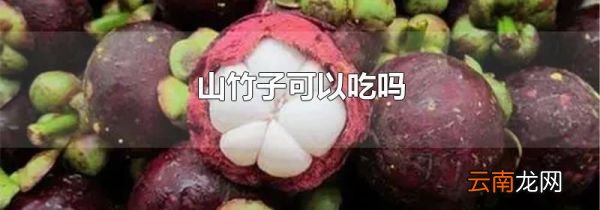 山竹子可以吃吗