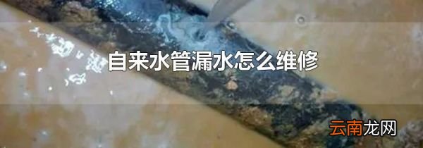 自来水管漏水怎么维修