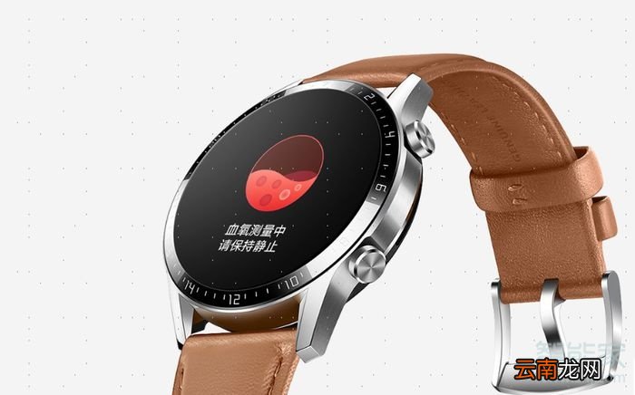 华为Watch GT2有血氧功能吗