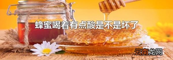 蜂蜜喝着有点酸是不是坏了