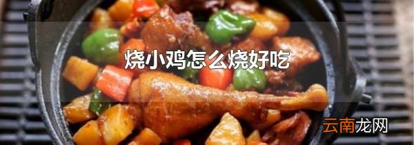 烧小鸡怎么烧好吃