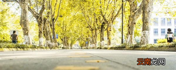 三本与二本的区别是什么? 三本大学和二本的区别