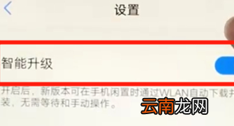 vivoz3中将系统自动更新关掉具体步骤介绍