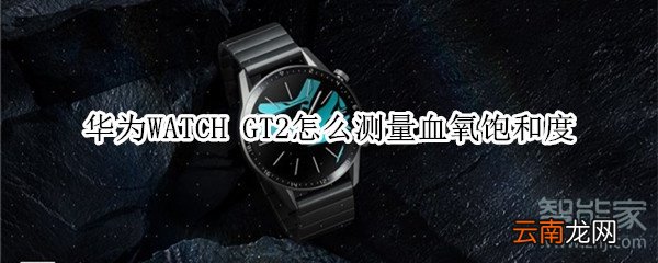 华为WATCH GT2怎么测量血氧饱和度