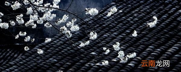 夜书所见哪句描写诗人思乡之情 夜书所见表达思乡之情的句子