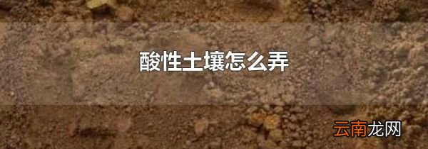 酸性土壤怎么弄