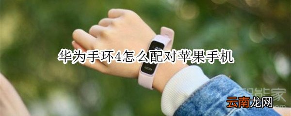 华为手环4怎么配对苹果手机