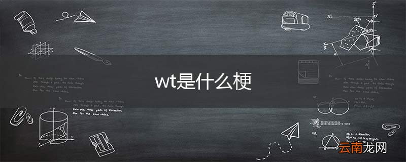 wt是什么梗