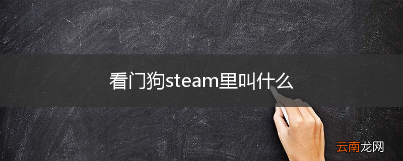 看门狗steam里叫什么