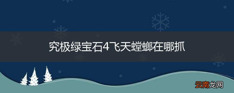 究极绿宝石4飞天螳螂在哪抓