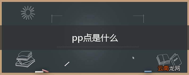 pp点是什么